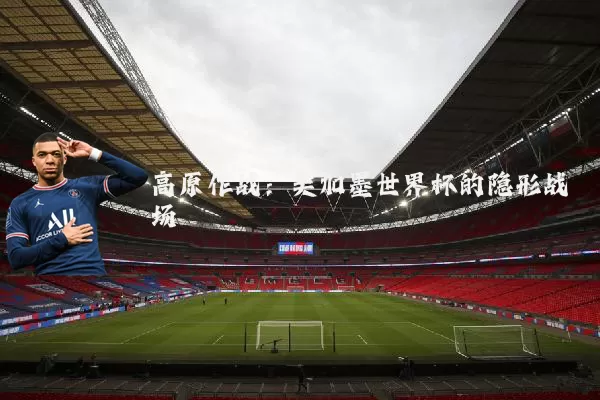 高原作战：美加墨世界杯的隐形战场